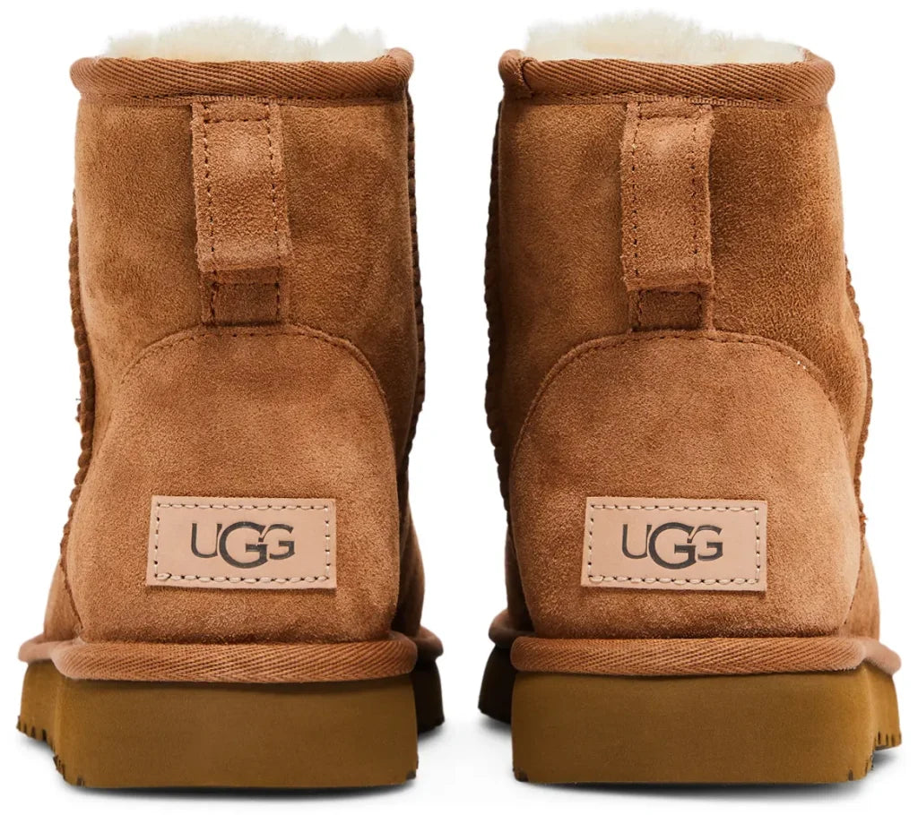 UGG «Brown»