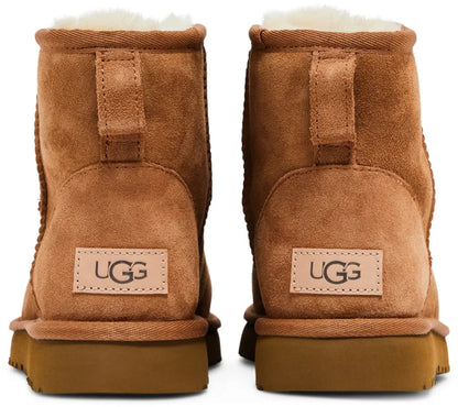UGG «Brown»