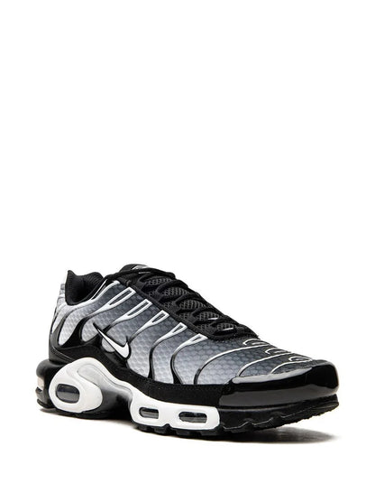 Nike Air Max TN »Metallic Silver»