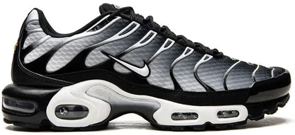 Nike Air Max TN »Metallic Silver»